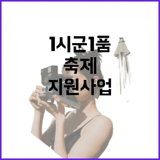 충남 대표 15개 축제, 1시군 1품 지원사업 선정