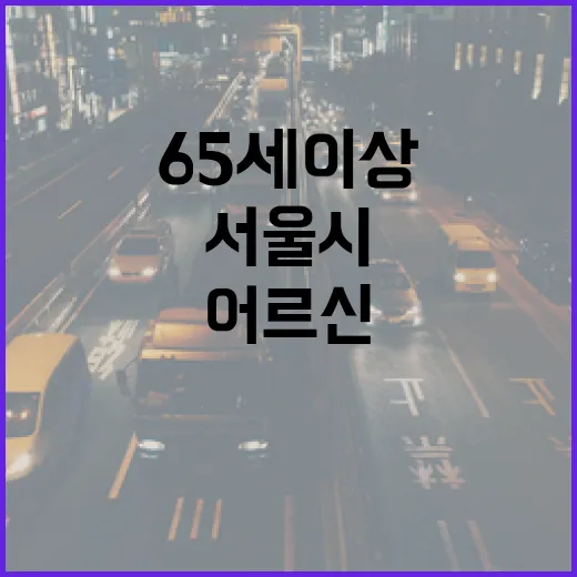 서울시 65세 이상 어르신 위한 모바일 교통카드 서비스 개시