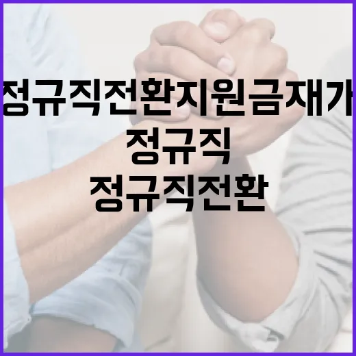 정규직 전환 지원금 재개, 정책 반복의 우려