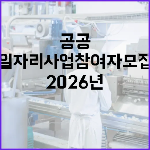 2026년 제주시 공공일자리사업 참여자 모집