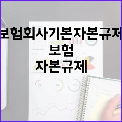 금융위, 보험회사 기본자본 규제 보도에 신중 요청