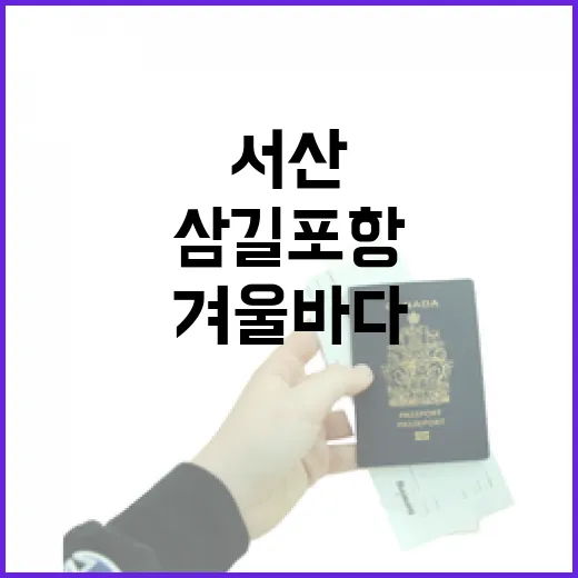 서산 삼길포항 겨울바다의 고요한 매력