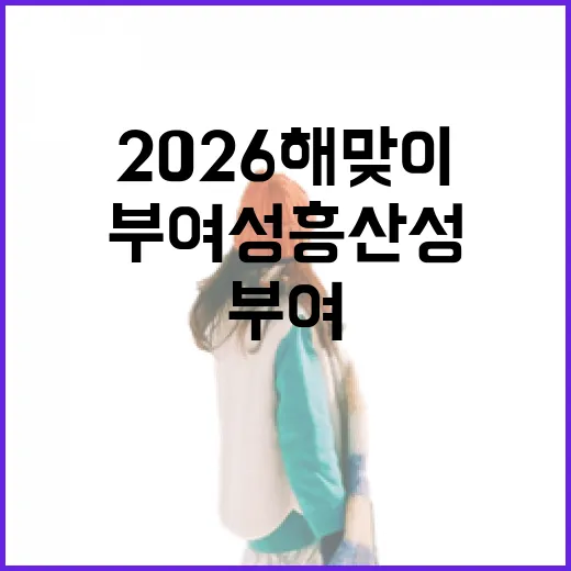 부여 성흥산성 2026 해맞이 현장