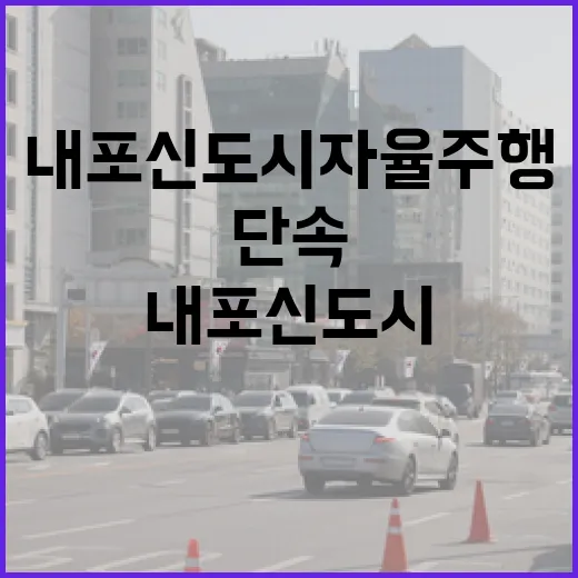내포신도시 자율주행 단속 혁신