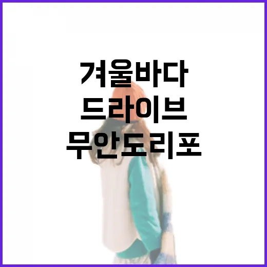 겨울바다 품은 무안 도리포 드라이브