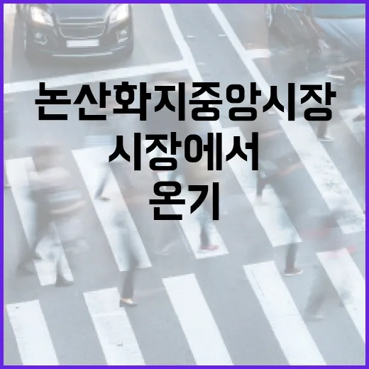 논산 화지중앙시장에서 만나는 온기