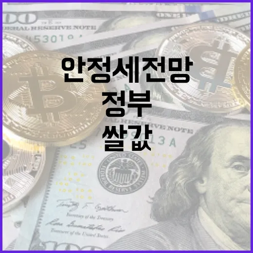 쌀값 안정세 전망과 정부 수급대책 현황