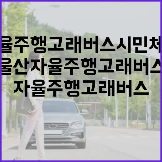 울산 자율주행 고래버스 시민체험 현장