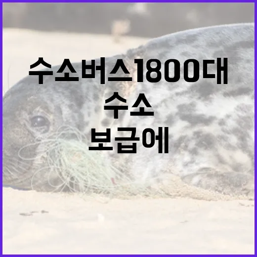 수소버스 1800대 보급에 5762억 지원