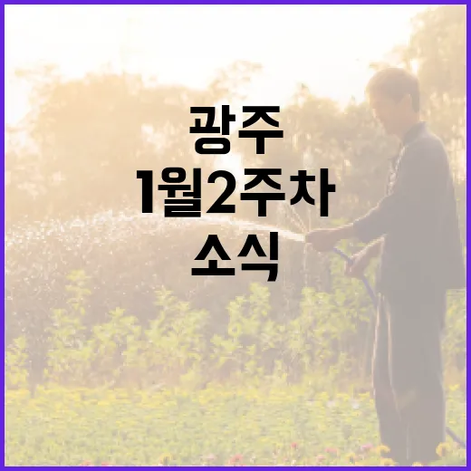 광주 1월 2주차 주목할 소식 총정리