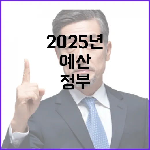 정부, 2025년 세출 예산 집행 신속 추진