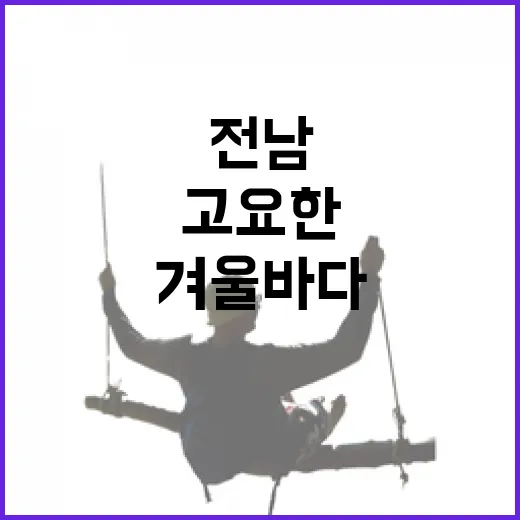 전남 겨울 바다, 고요한 힐링의 시간