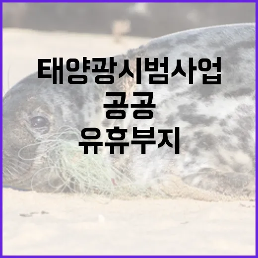 충남, 공공 유휴부지 태양광 시범사업 본격화