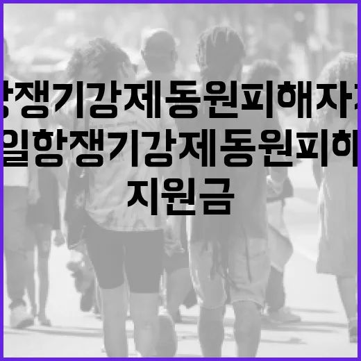 대일항쟁기 강제동원 피해자 지원금 대폭 인상