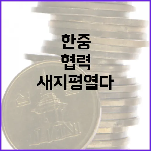 한중 스타트업 협력…