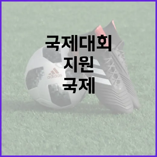 경기력 향상비 감액, 국제대회 지원은 확대