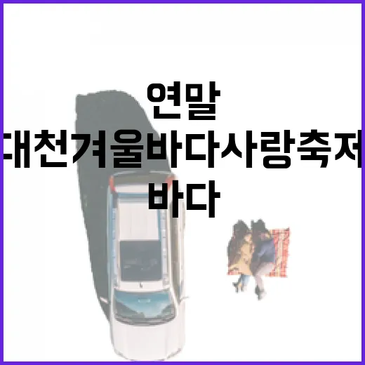 대천겨울바다 사랑축제, 가족과 함께하는 따뜻한 연말