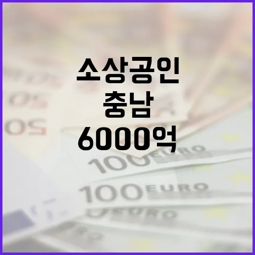 충남, 소상공인에 6000억 융자 지원