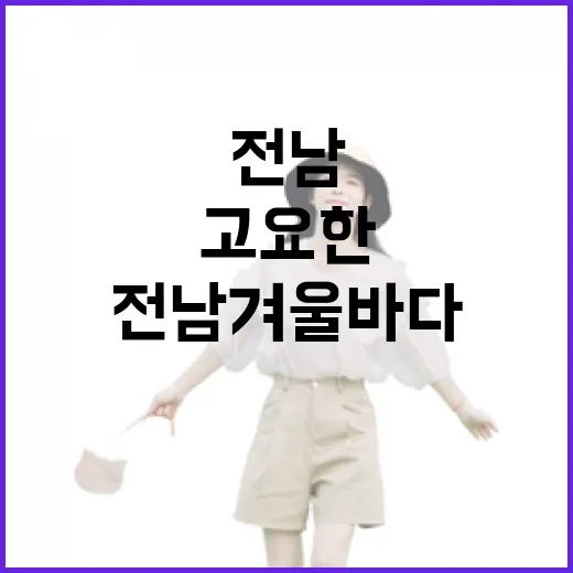 전남 겨울바다의 고요한 매력