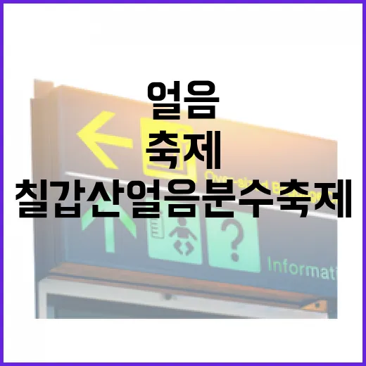 칠갑산 얼음분수축제 겨울밤의 매력