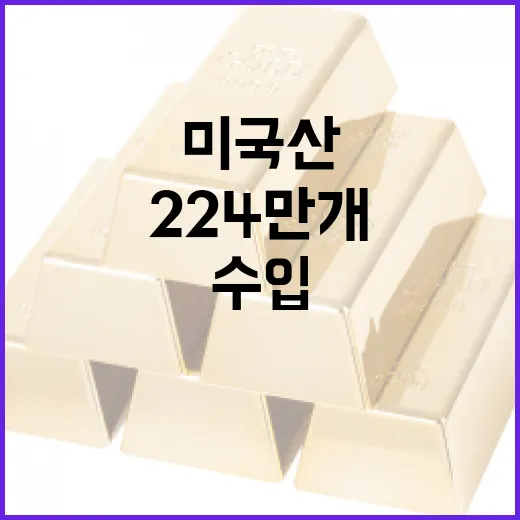 미국산 계란 224만 개 수입, 조류독감 대비 선제 조치