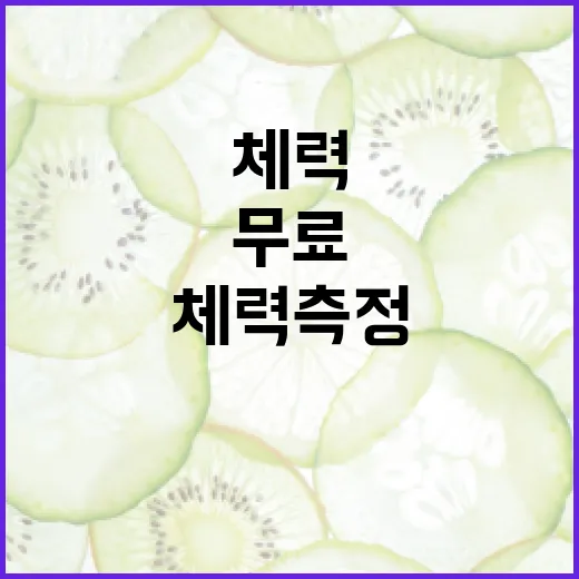 서울체력9988 무료 체력측정과 맞춤운동 처방