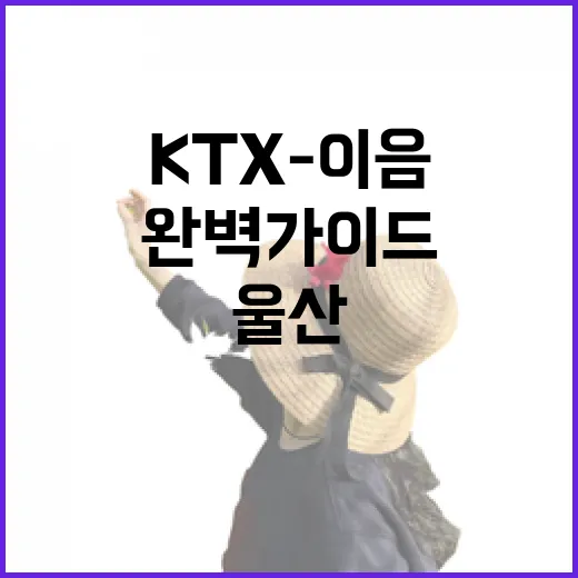 KTX-이음 울산역과 주변 명소 완벽 가이드
