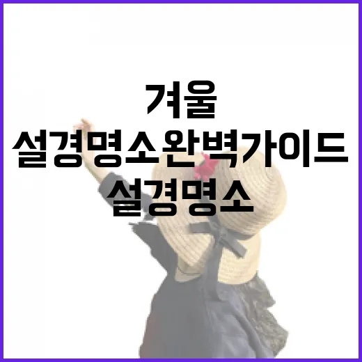 전남 겨울 설경 명소 완벽 가이드