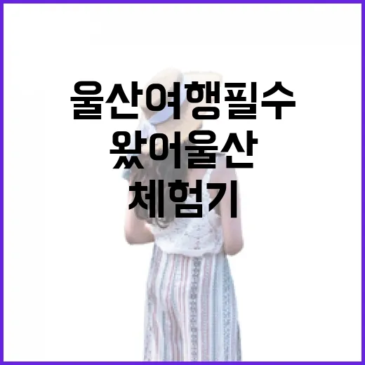 울산 여행 필수 앱 ‘왔어 울산’ 서포터즈 체험기
