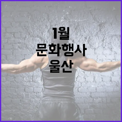 울산 1월 문화행사 총정리