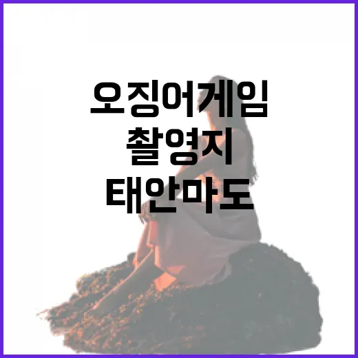 태안 마도, 오징어 게임 촬영지의 비밀