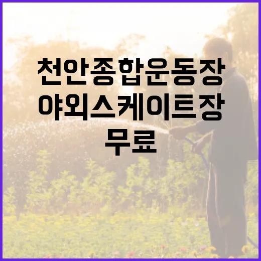 천안 종합운동장 무료 야외 스케이트장 개장