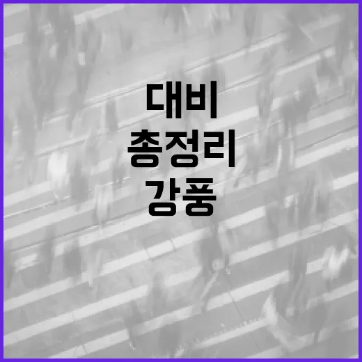 강풍 대비 필수 안전수칙 총정리