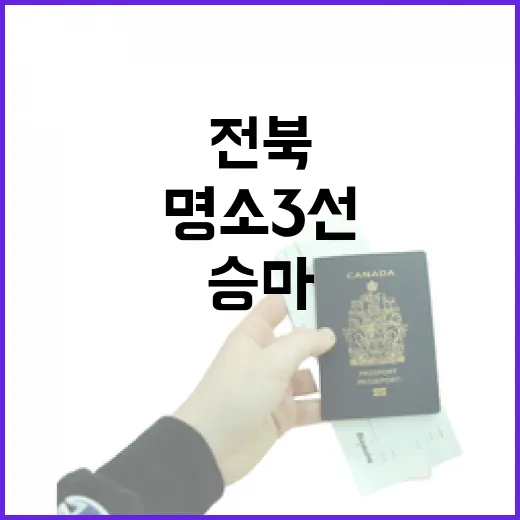 전북 승마 체험 명소 3선