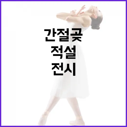 간절곶 적설 전시, 새해 희망의 빛을 밝히다