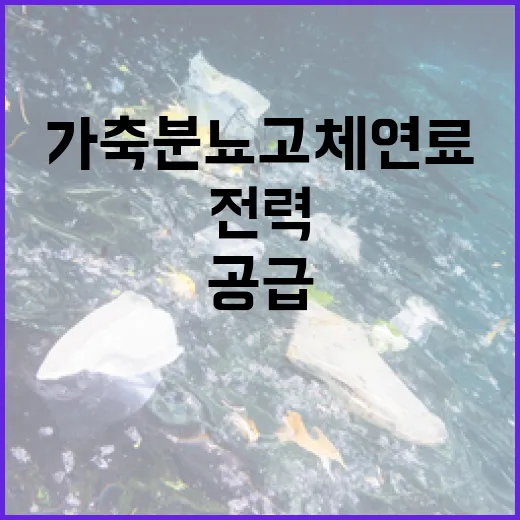 가축분뇨 고체연료 전환, 2030년 전력 3만8000가구 공급