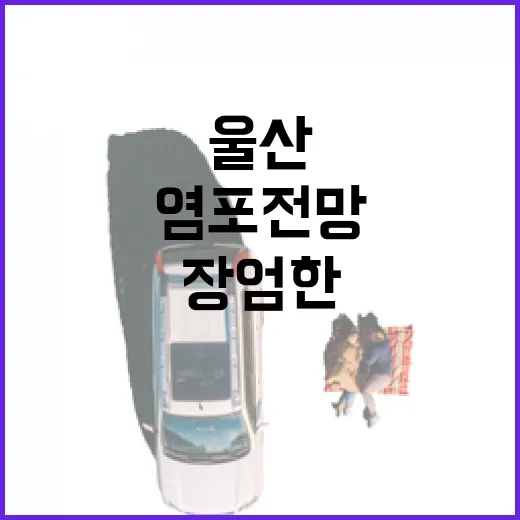 울산 염포전망대서 맞은 장엄한 새해 일출