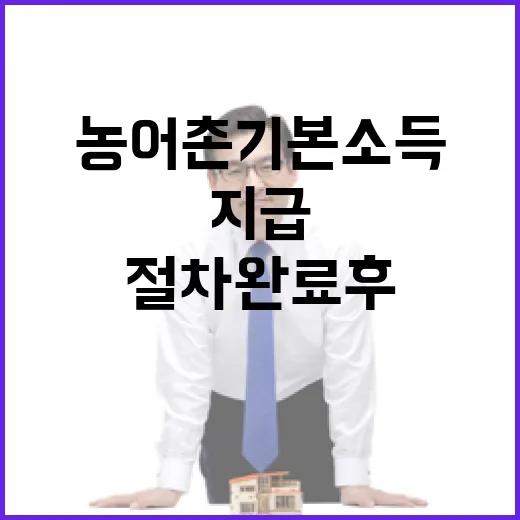 농어촌 기본소득, 절차 완료 후 지급 검토