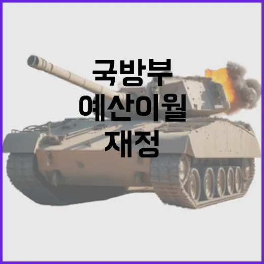 2025년 국방부 예산 이월, 재정원칙에 따른 결정