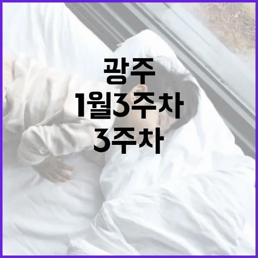 광주 1월 3주차 주목할 문화·스포츠 일정