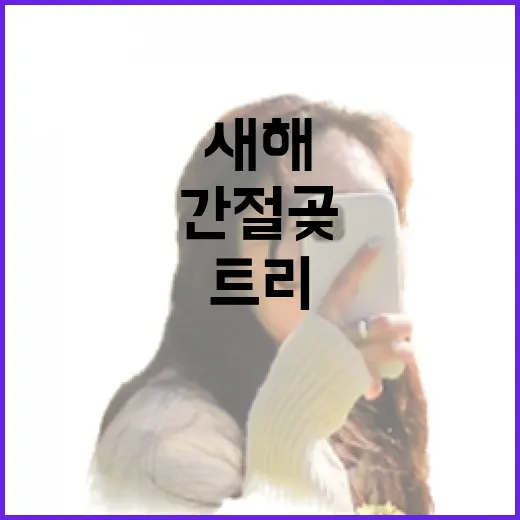 간절곶 새해 트리 축제 현장 풍경