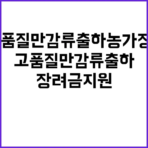 제주시, 고품질 만…