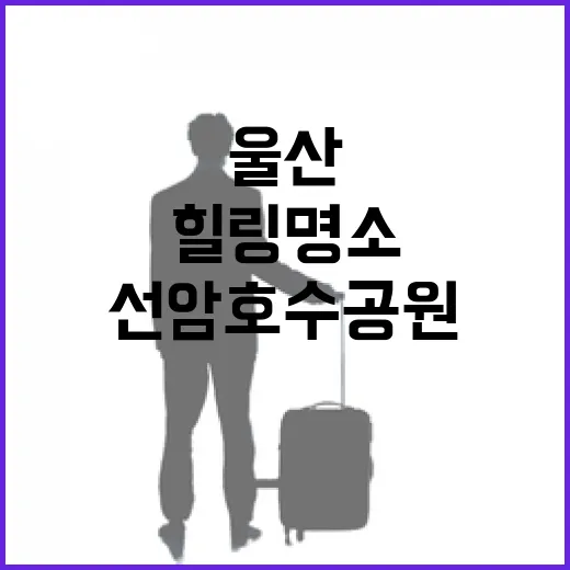 울산 선암호수공원, 사계절 힐링 명소