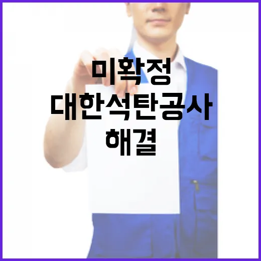 대한석탄공사 부채 해결방안 아직 미확정