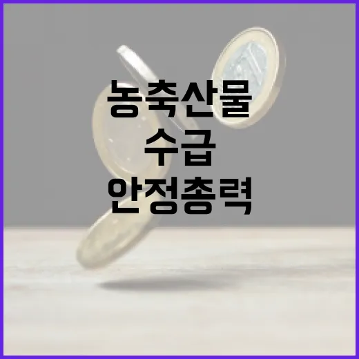 농축산물 수급 점검 강화, 가격 안정 총력