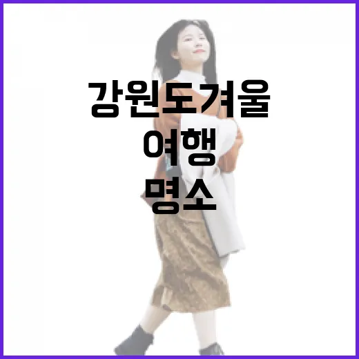 강원도 겨울 목장 여행 명소 3선