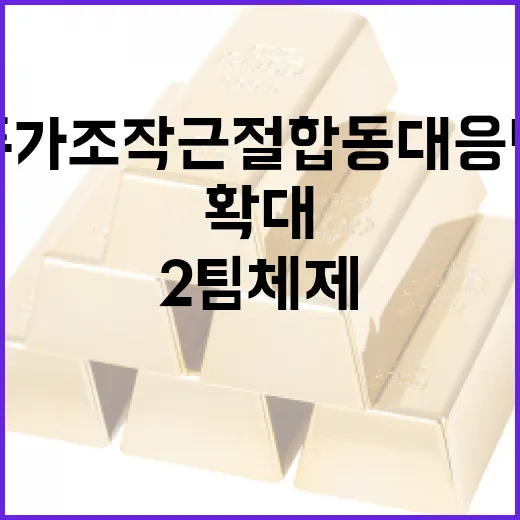 주가조작 근절 합동대응단 2팀 체제 확대