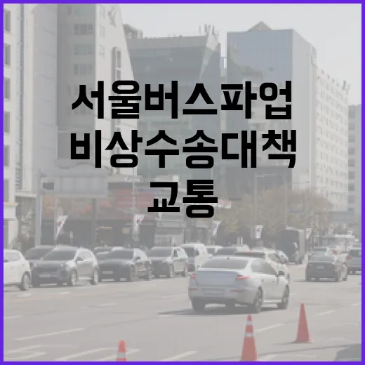 서울 버스 파업, 비상수송대책과 교통 운영 변화