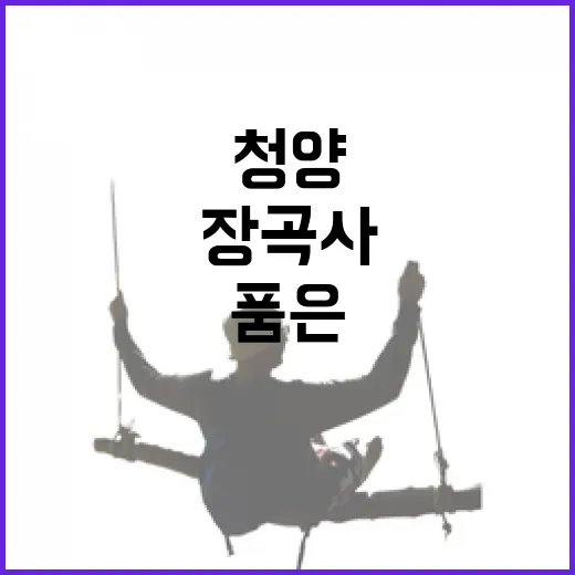 충남 청양 장곡사, 칠갑산 품은 고요한 사찰 여행