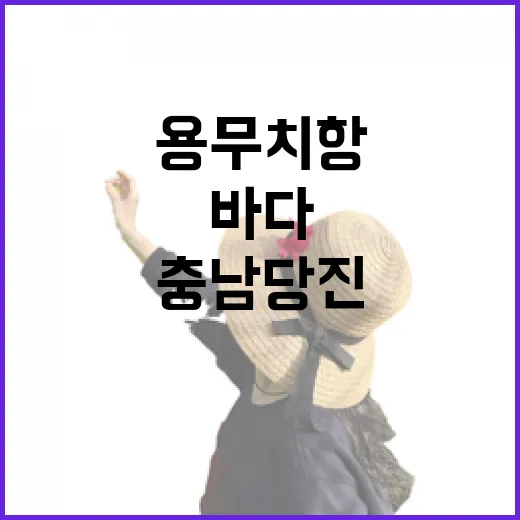 충남 당진 용무치항, 겨울바다의 여유